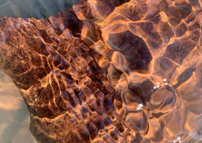 Végtelen színjáték