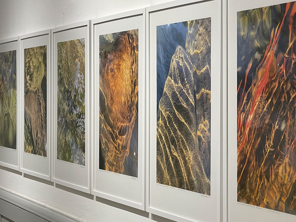 Végtelen színjáték kiállítás